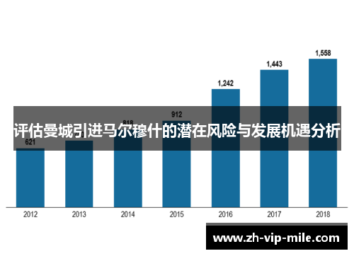 评估曼城引进马尔穆什的潜在风险与发展机遇分析