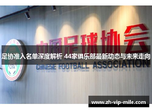 足协准入名单深度解析 44家俱乐部最新动态与未来走向