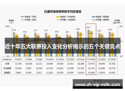 近十年五大联赛投入变化分析揭示的五个关键亮点