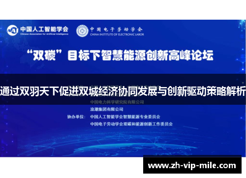 通过双羽天下促进双城经济协同发展与创新驱动策略解析
