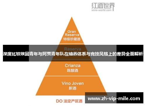 深度比较埃因青年与阿贾青年队在培养体系与竞技风格上的差异全面解析