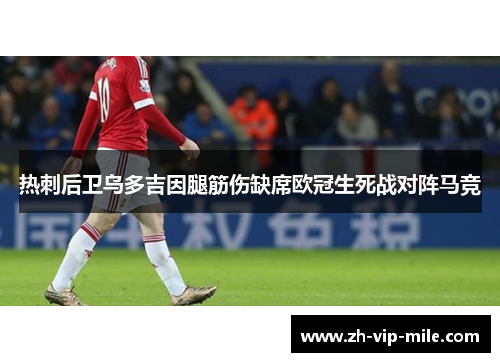 热刺后卫乌多吉因腿筋伤缺席欧冠生死战对阵马竞
