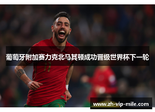 葡萄牙附加赛力克北马其顿成功晋级世界杯下一轮