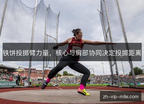 铁饼投掷臂力量,核心与肩部协同决定投掷距离 铁饼投掷臂力量,核心与肩部协同决定投掷距离